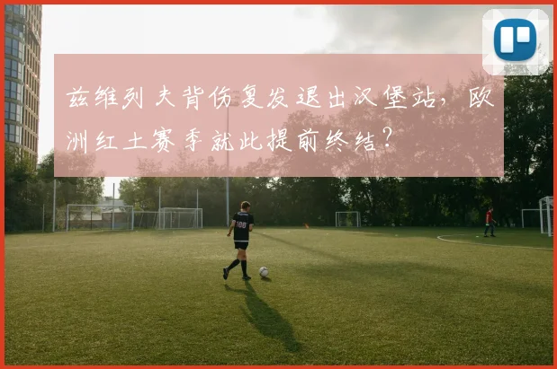 兹维列夫背伤复发退出汉堡站，欧洲红土赛季就此提前终结？